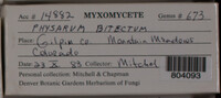 Image Associated With the Occurence